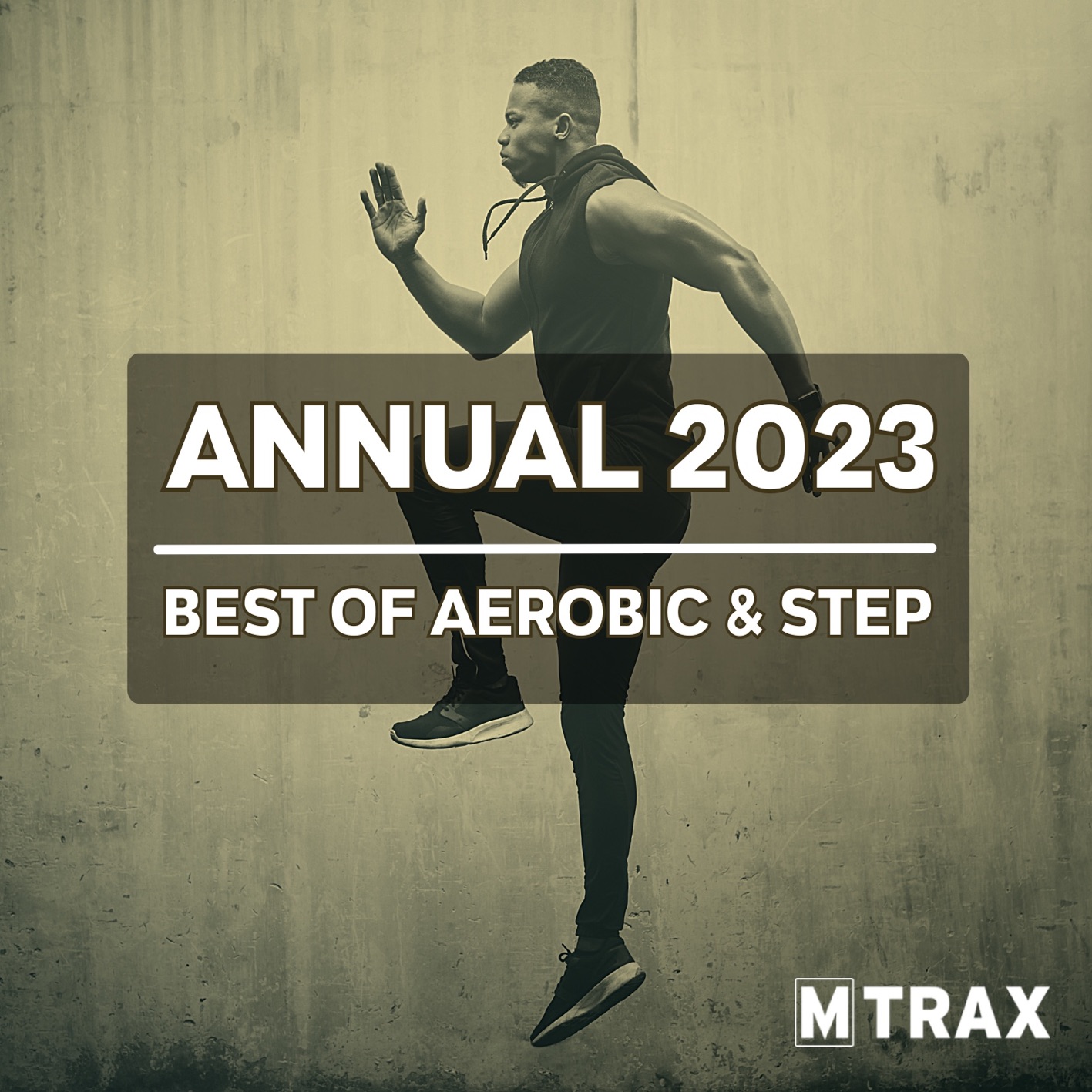 Annual 2023 Best of Aerobic & Step (3 CDs)