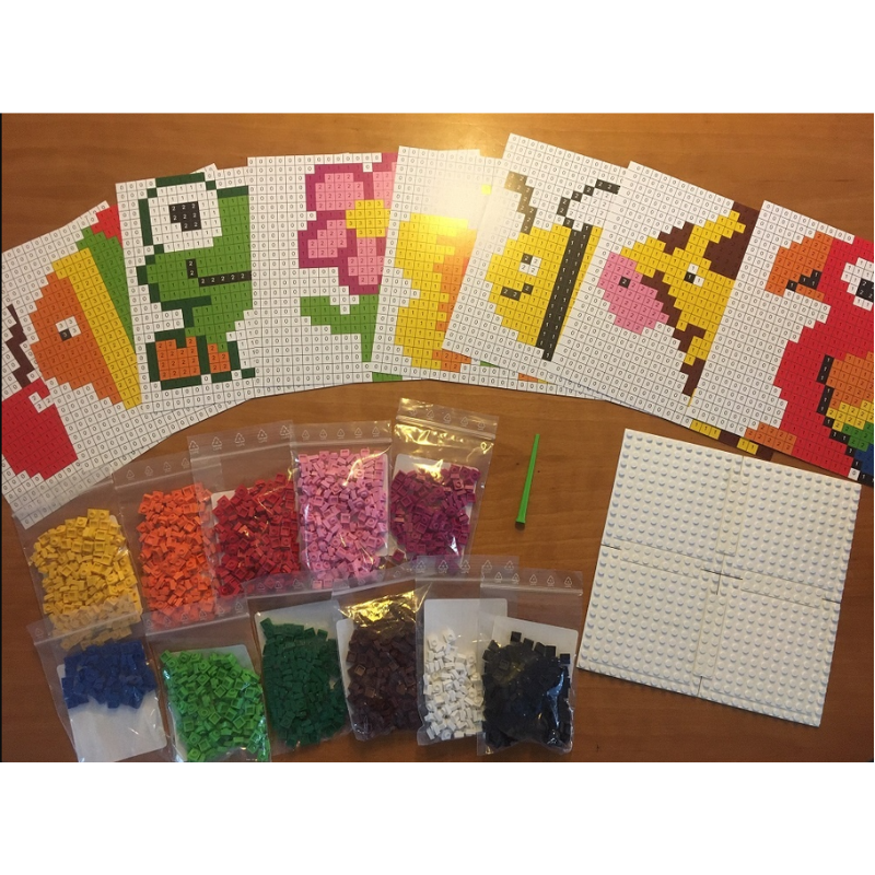 BiOBUDDi Edukatives Starter Set, 9000 Pixel