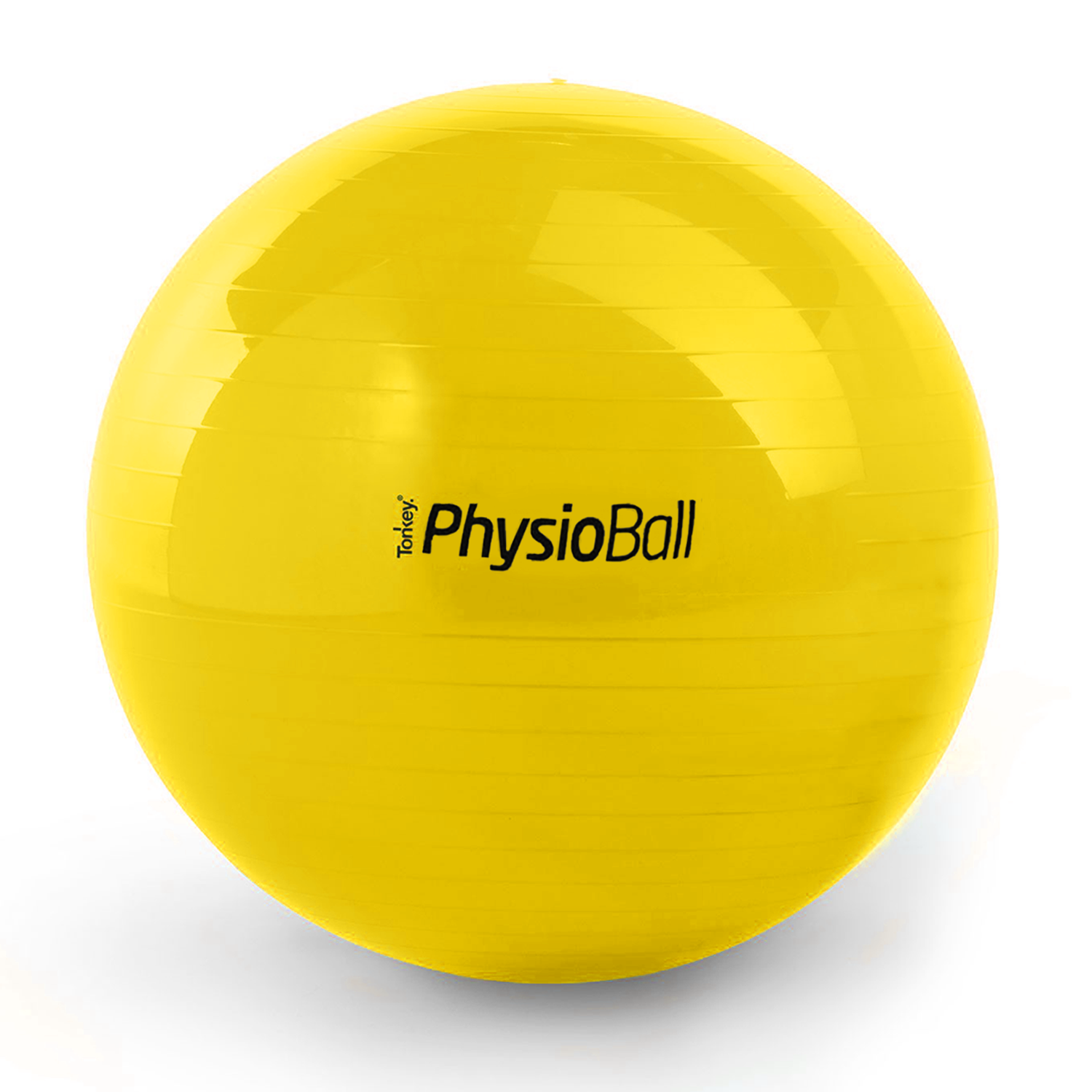 Original Pezzi® Physioball STANDARD