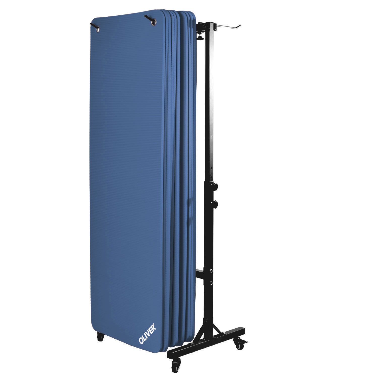 10x Oliver Gymnastikmatte m. Ösen u. Transportwagen 180 x 60 x 1.5 cm 10x Oliver Gymnastikmatte m. Ösen u. Transportwagen 180 x 60 x 1.5 cm