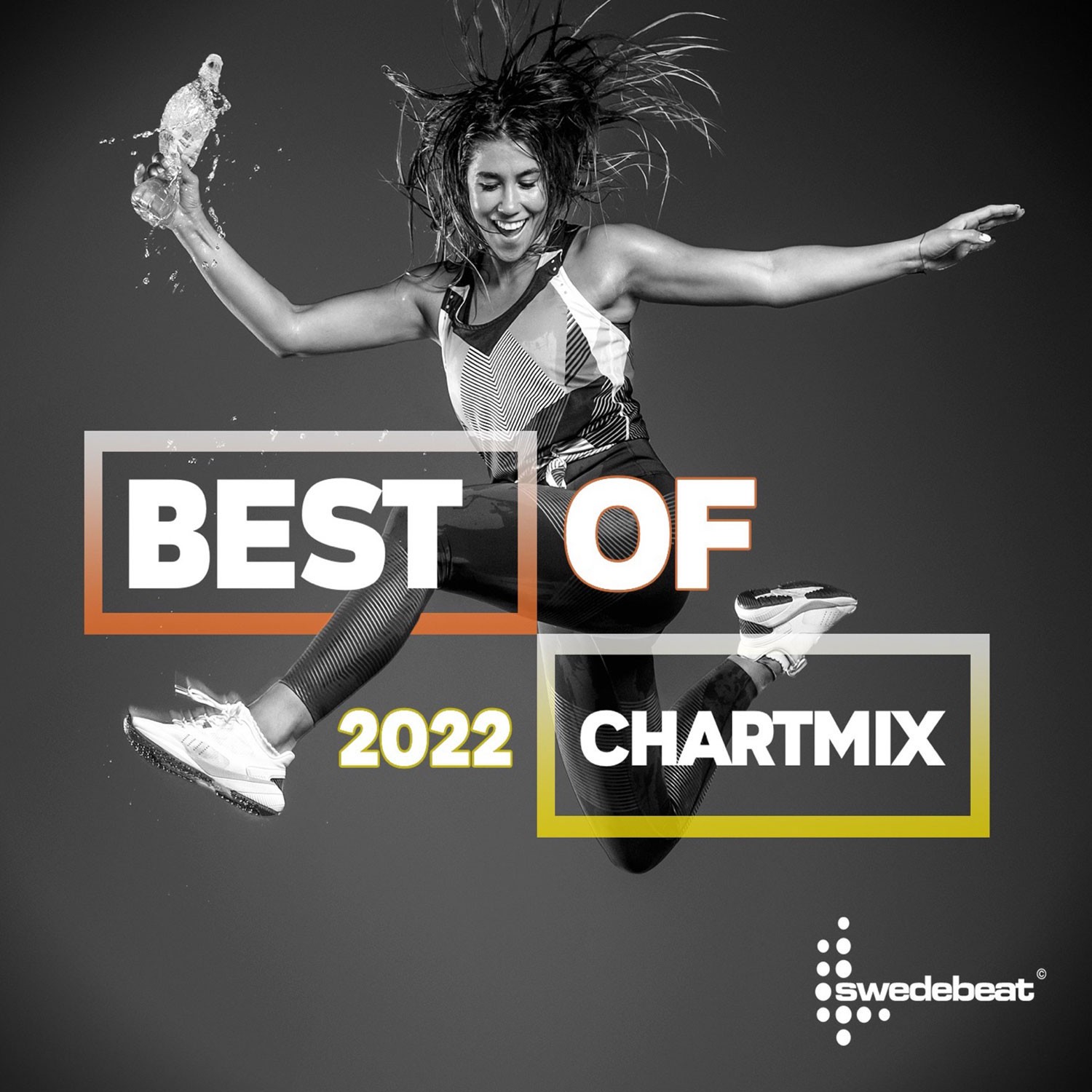 Best of Chartmix 2022 (3 CDs)