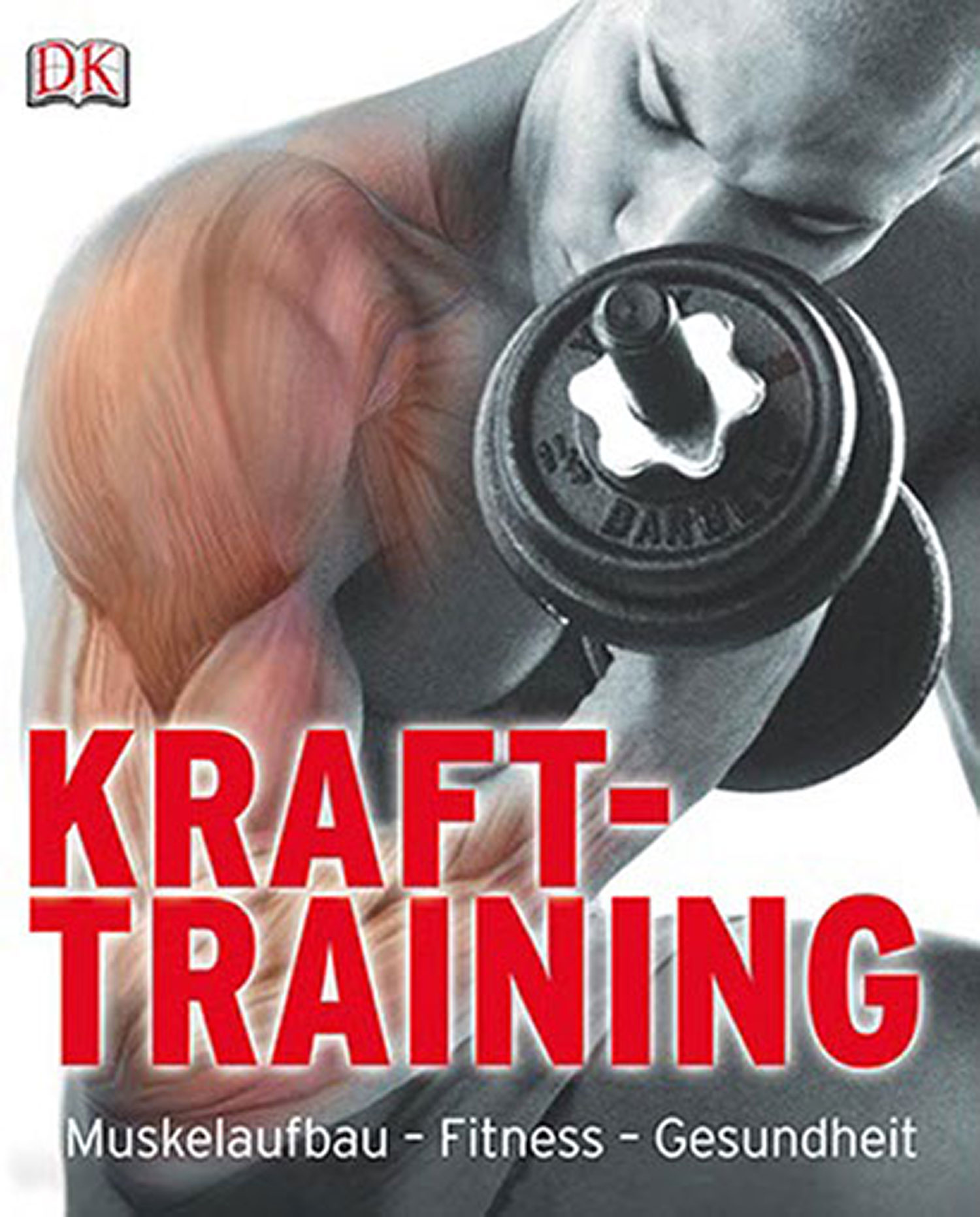 Krafttraining, Muskelaufbau - Fitness - Gesundheit